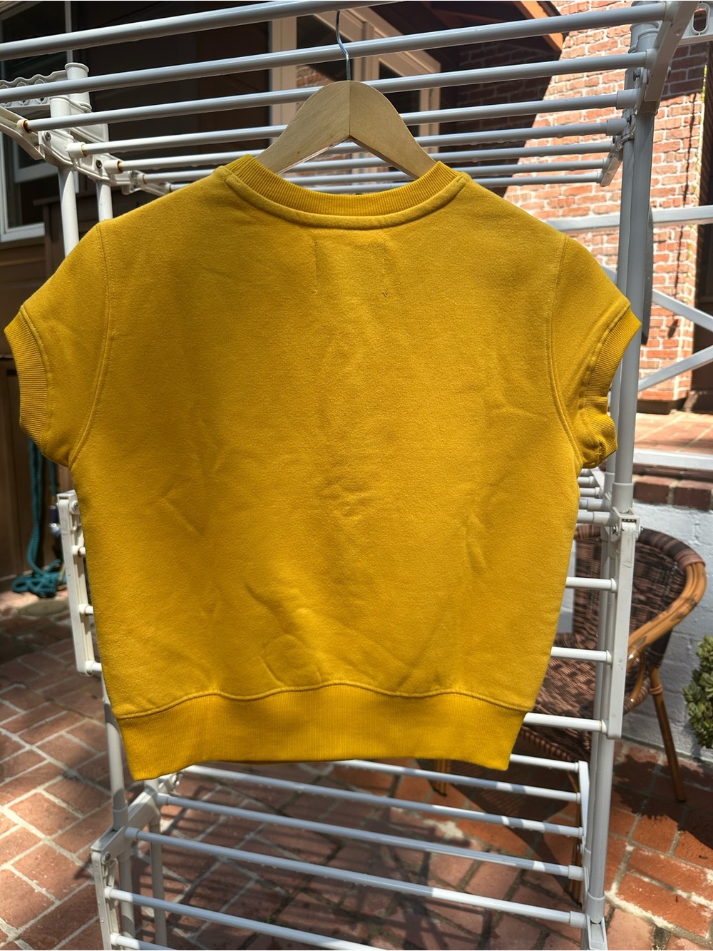 Anthropologie Celadine Mustard Embroidered Palm Short Sleeve Sweatshirt - Picture 3 of 7